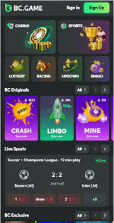 Experience the Excitement of BC CO Casino 1