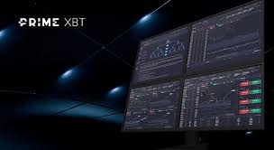 PrimeXBT vs Pocket Option Which Trading Platform Suits You Best PrimeXBT vs Pocket Option Which Trading Platform Suits You Best